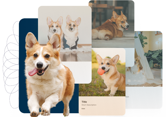Louie the Corgi