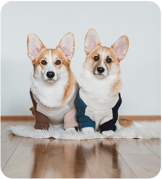 Louie with friend